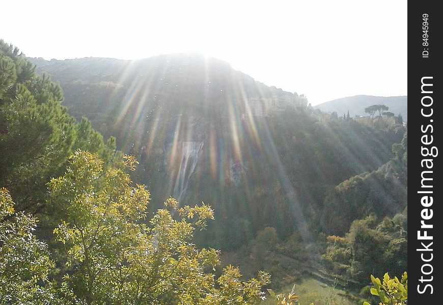 A view of a forestry mountain landscape in the sunlight. A view of a forestry mountain landscape in the sunlight.