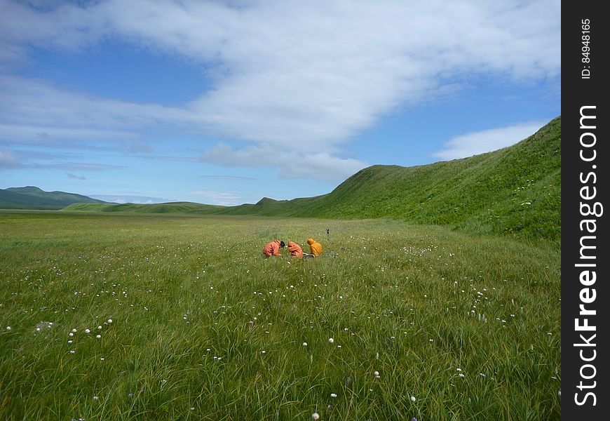 In this photo USGS geologists stand out in their orange uniforms surrounded by a lush, green grassy landscape as they examine geologic cores on Sitkinak Island, Alaska. Credit: Rich Briggs, USGS. Learn more about the geologic science that USGS is a part of in Alaska at bit.ly/AKGeology. In this photo USGS geologists stand out in their orange uniforms surrounded by a lush, green grassy landscape as they examine geologic cores on Sitkinak Island, Alaska. Credit: Rich Briggs, USGS. Learn more about the geologic science that USGS is a part of in Alaska at bit.ly/AKGeology