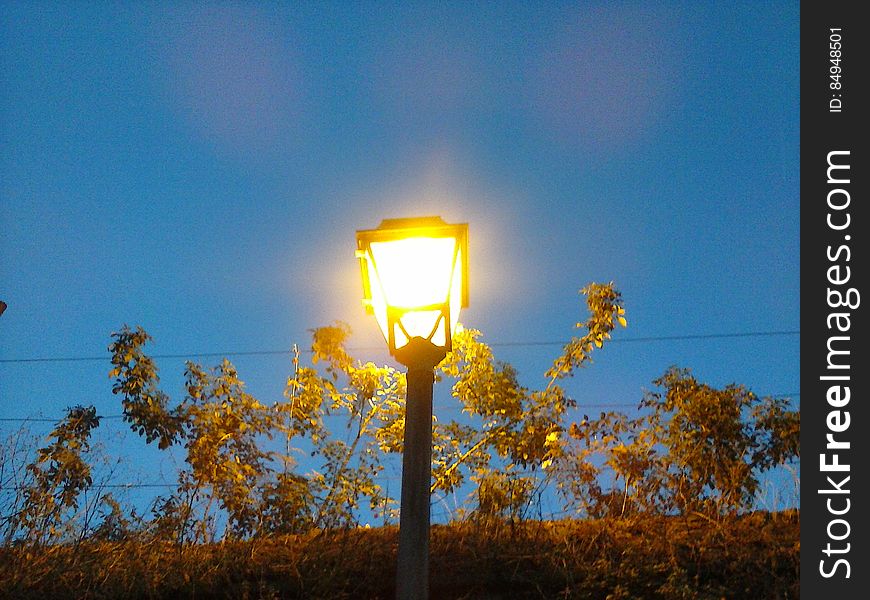 Sky, Street Light, Leaf, Natural Environment