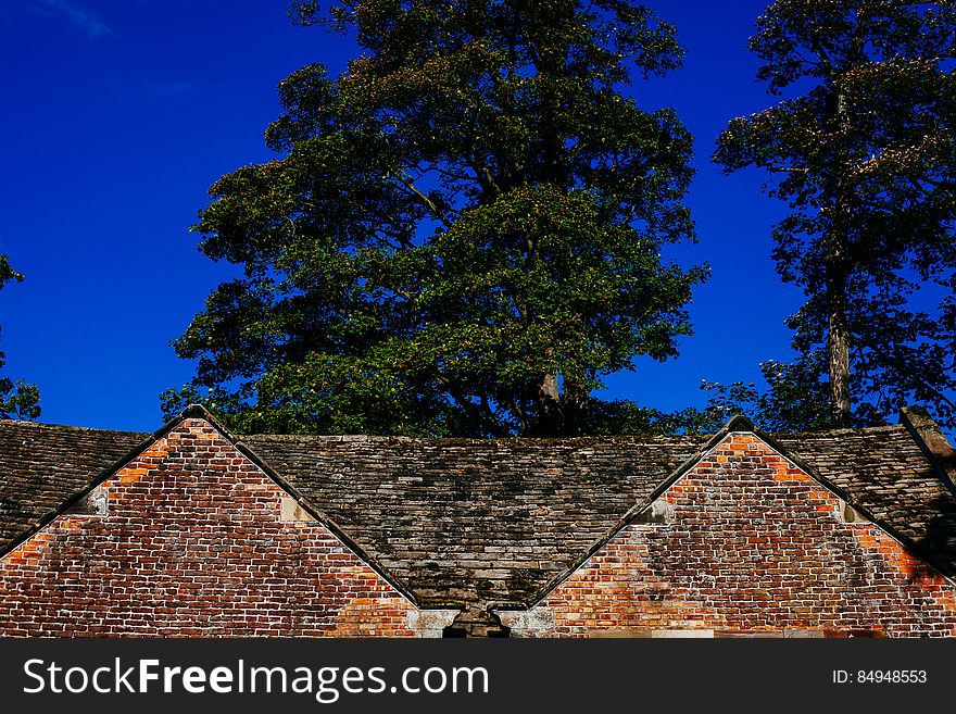 Roof Of Mill