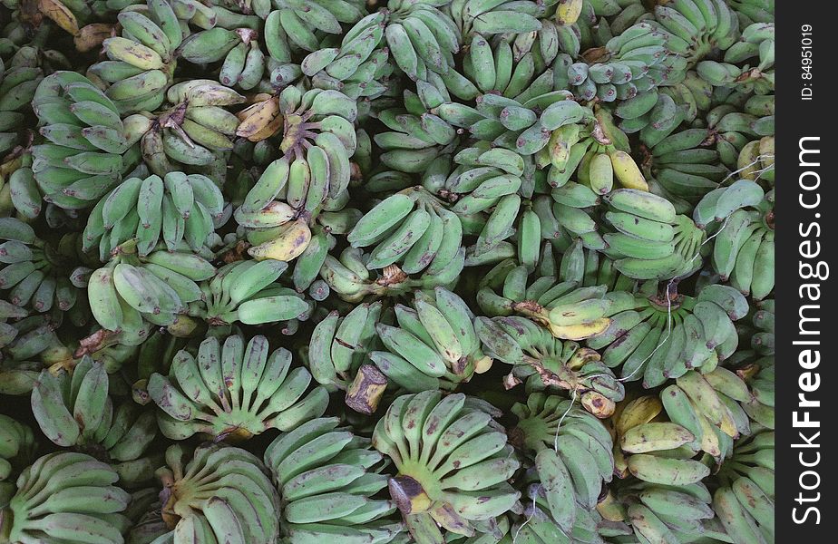Bushels Of Green Bananas