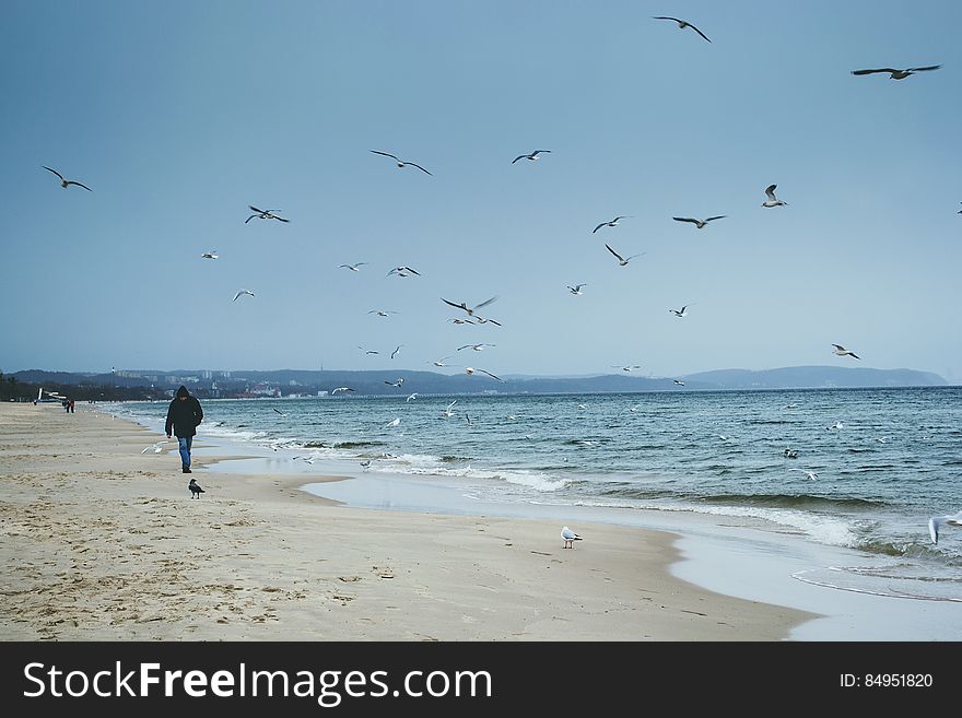 Walking By The Sea