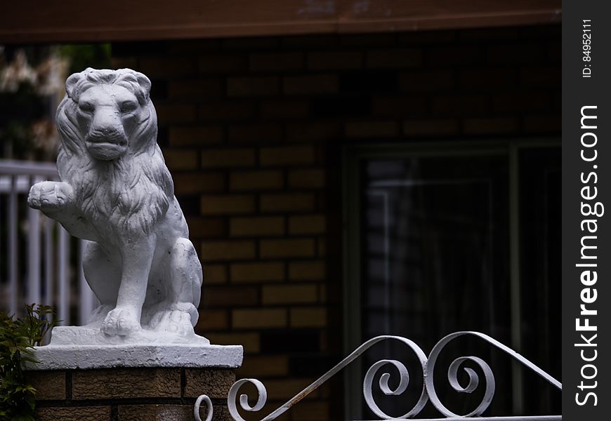 Lions Of Vancouver --eastvan-photowalk-vancouver-em10-75-300mm-20150517-P5170050