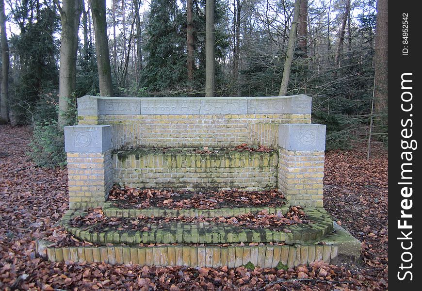 Empty flower bed with protective brick walls covered by fallen Autumn leaves, background of tall trees. Empty flower bed with protective brick walls covered by fallen Autumn leaves, background of tall trees.