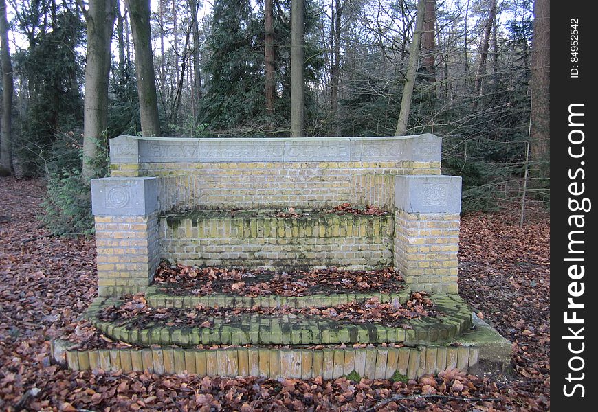 Empty Flower Bed With Walls