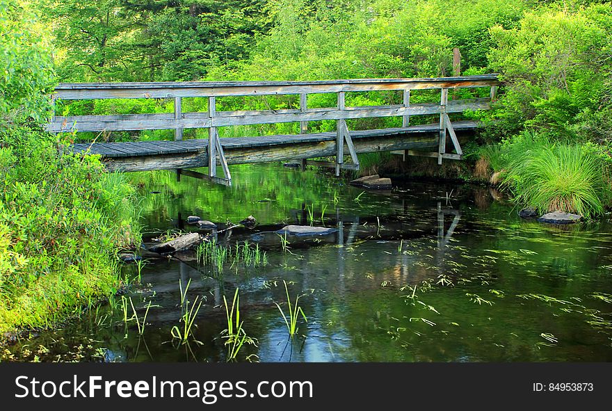 Wooden footbridge over an unnamed stream at the south end of Gouldsboro Lake, Monroe County, within Gouldsboro State Park. I&#x27;ve licensed this photo as CC0 for release into the public domain. You&#x27;re welcome to download the photo and use it without attribution. Wooden footbridge over an unnamed stream at the south end of Gouldsboro Lake, Monroe County, within Gouldsboro State Park. I&#x27;ve licensed this photo as CC0 for release into the public domain. You&#x27;re welcome to download the photo and use it without attribution.