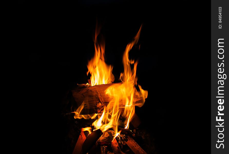 Close-up of Bonfire at Night