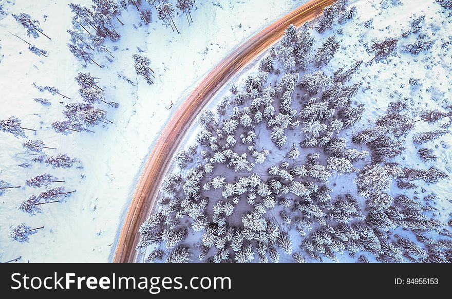 An aerial view of a road next to an evergreen forest in winter. An aerial view of a road next to an evergreen forest in winter.