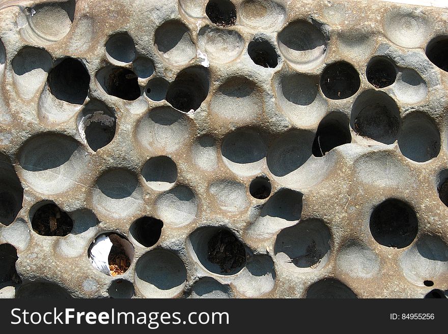 Rock With Little Holes