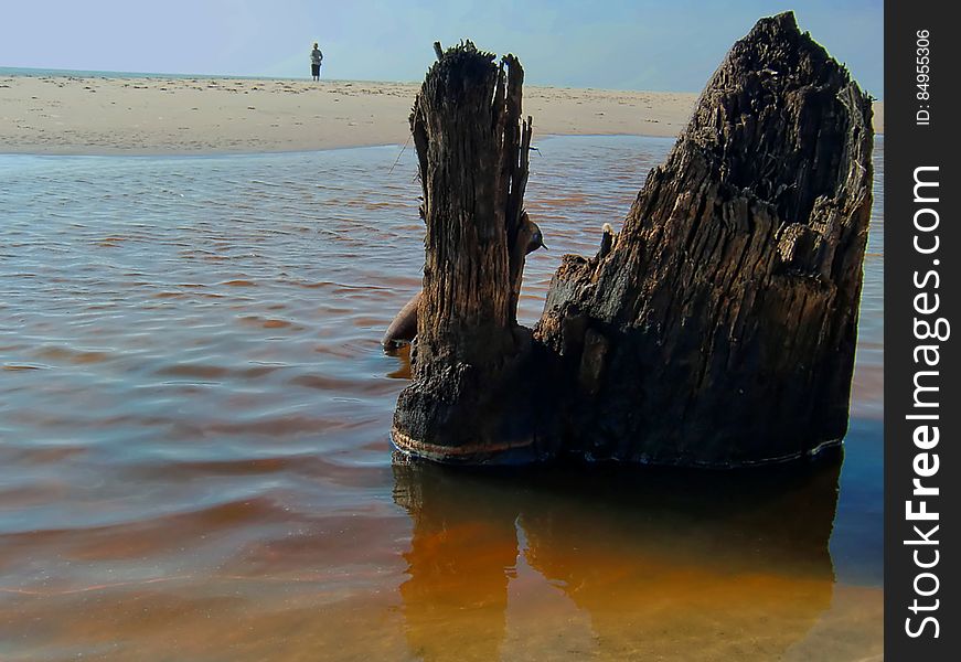 A rotten tree stump in shallow water and a man standing on the beach in the background.