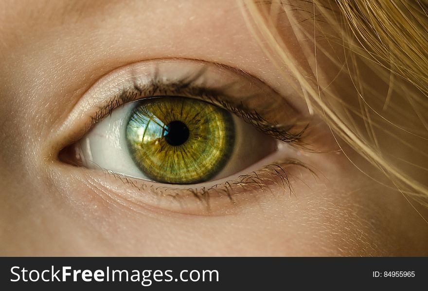 A close up shot of a girl`s green eye. A close up shot of a girl`s green eye.