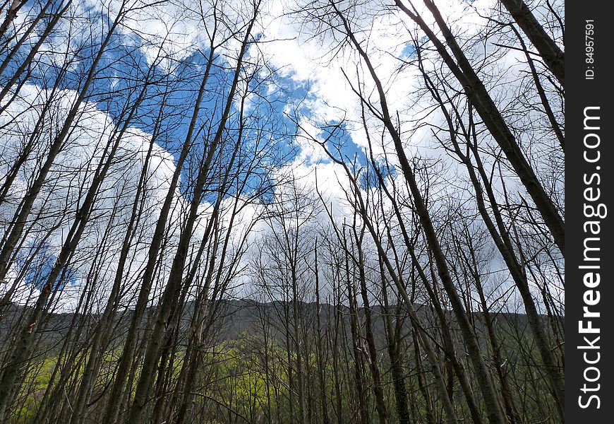 At the Montseny mountain, Spain. At the Montseny mountain, Spain.