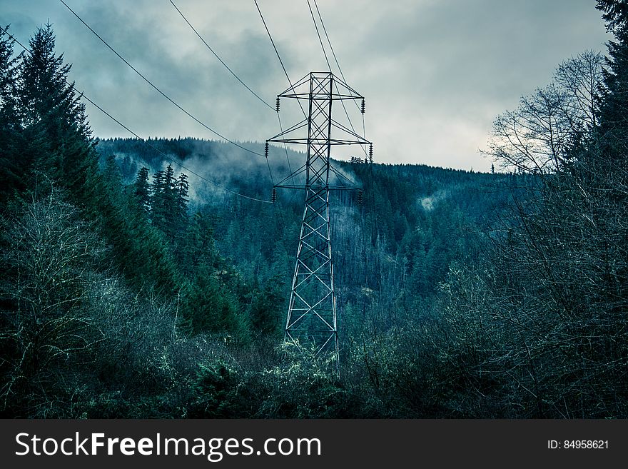 A high voltage line going through a forest. A high voltage line going through a forest.