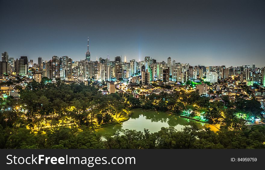 City skyline and green park at night. City skyline and green park at night.