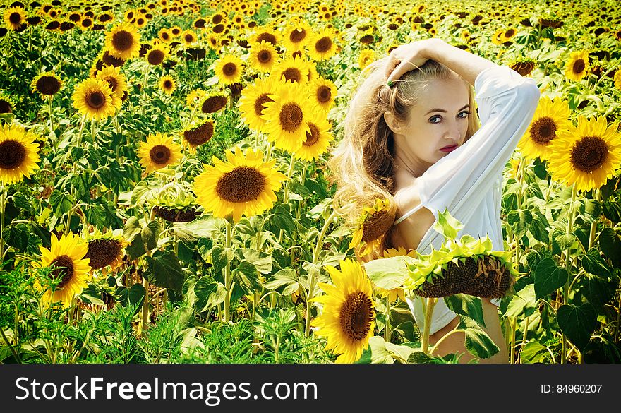 Woman in White Long Sleeve Shirt on Sunflower Field