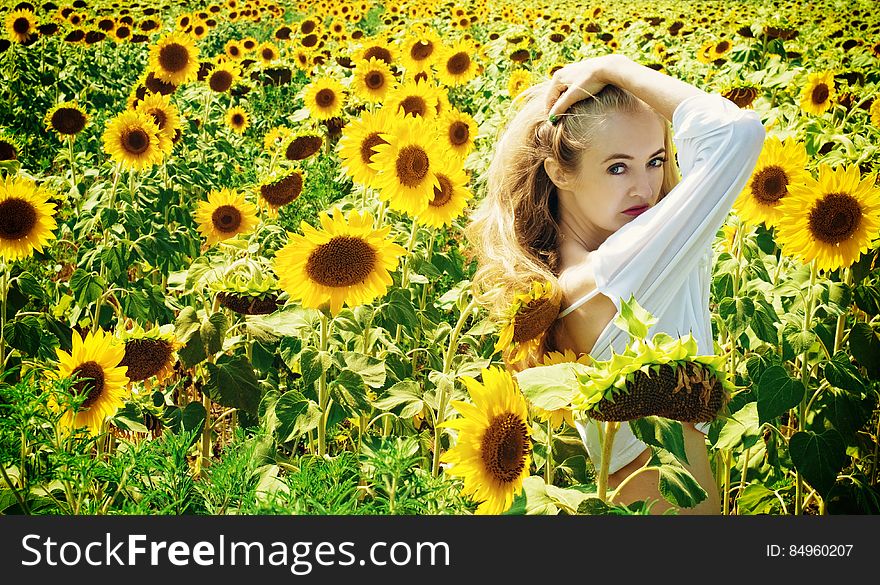 Woman In White Long Sleeve Shirt On Sunflower Field