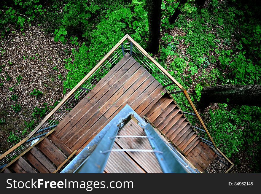 Overhead view of external stairs on a rural building surrounded by trees. Overhead view of external stairs on a rural building surrounded by trees.