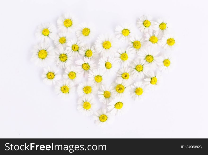 White and Yellow Flowers in Heart Form