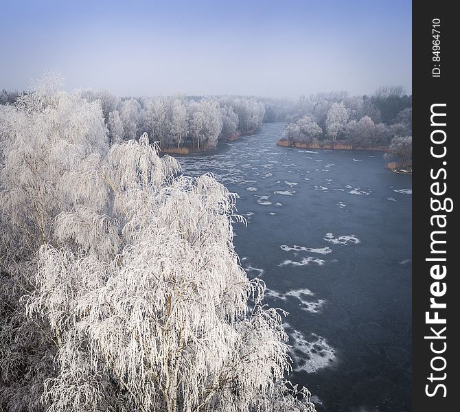 Frozen trees on a lake coast. Frozen trees on a lake coast.