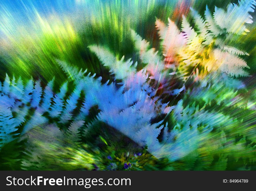 exploding ferns with green