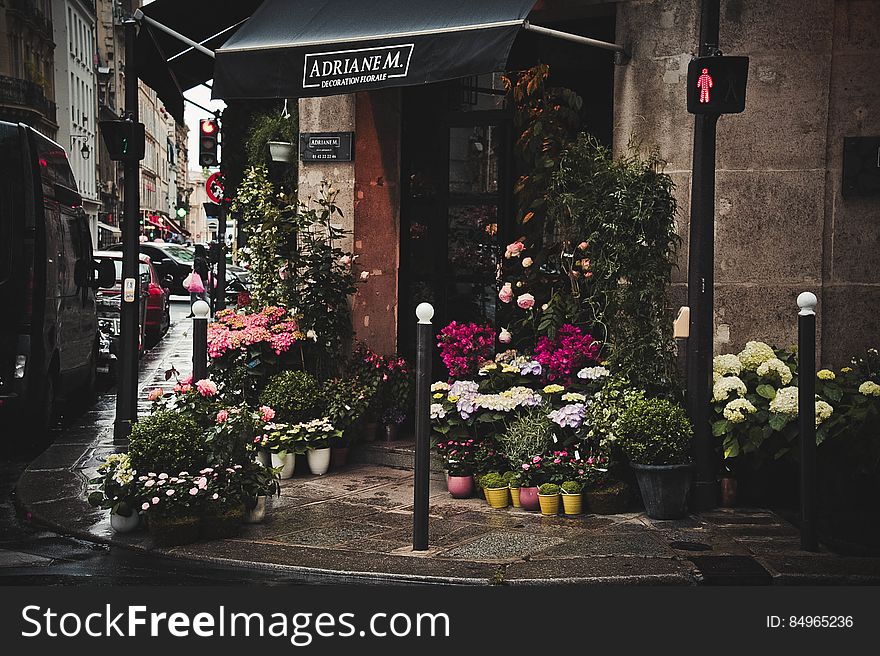 Pavement Flower Stall On City Street