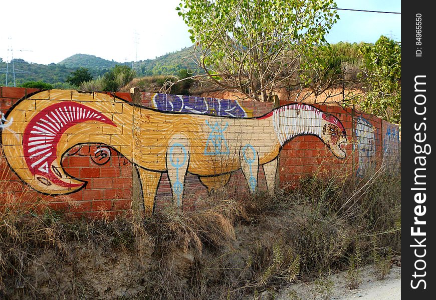 Art On Abandoned Wall