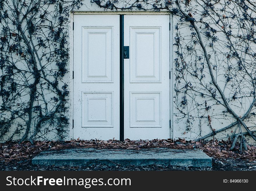 A double door on a wall with vines. A double door on a wall with vines.