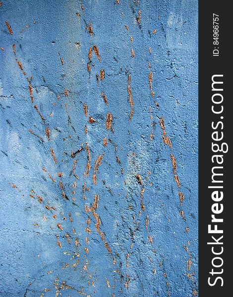 vine tracks on blue concrete wall