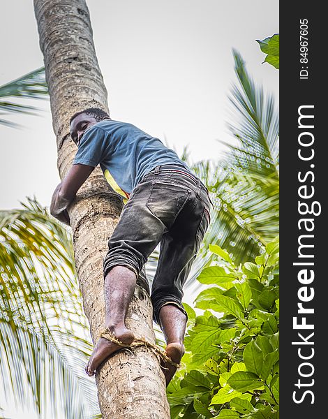 Shoe, Sky, Leg, Botany, People in nature, Branch