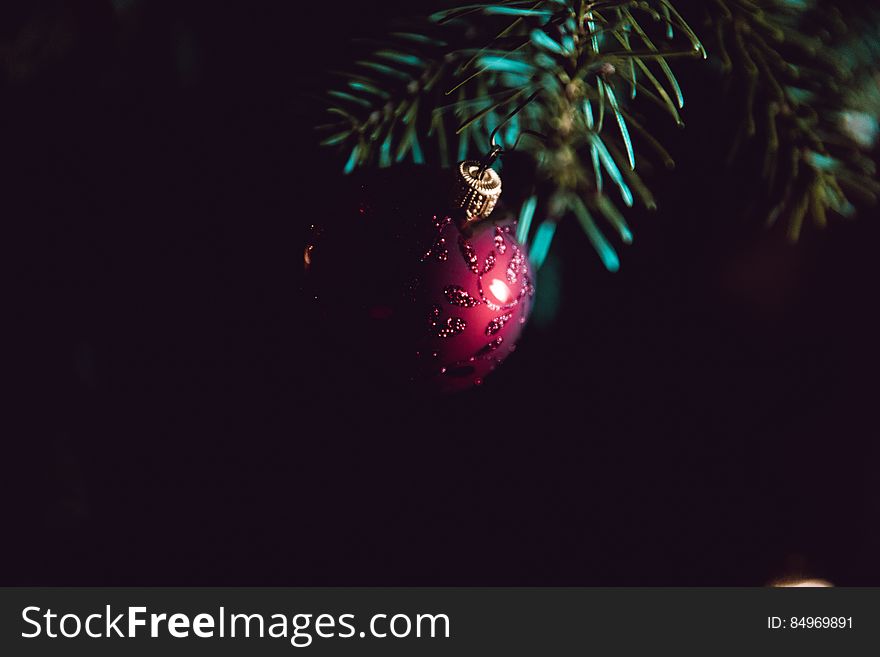 A close up of a red Christmas ball on a Christmas tree branch.