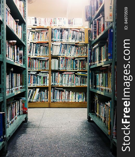 A view inside a library with shelves full of books. A view inside a library with shelves full of books.