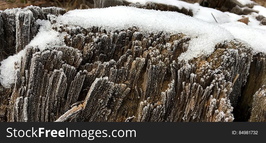 Close up of snow on wood tree trunk.