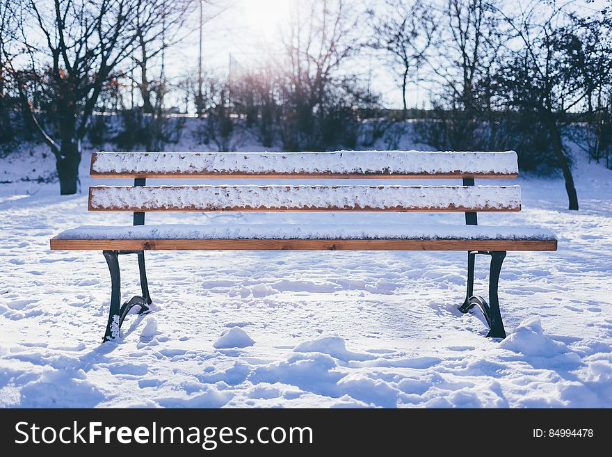 A bench covered in snow. A bench covered in snow.