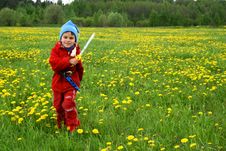 Meadow And Dandelions. Stock Photo