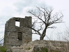 Ruin Stock Image
