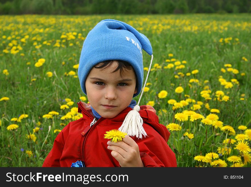 Spring day. Game on a meadow with dandelions. Spring day. Game on a meadow with dandelions.