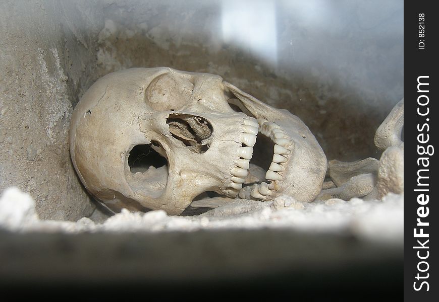 Creepy human skull on display. Creepy human skull on display
