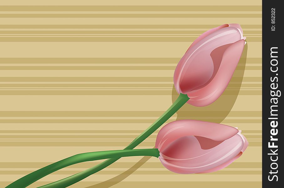 Illustration of two pink tulips to be used as a graphic background. Illustration of two pink tulips to be used as a graphic background