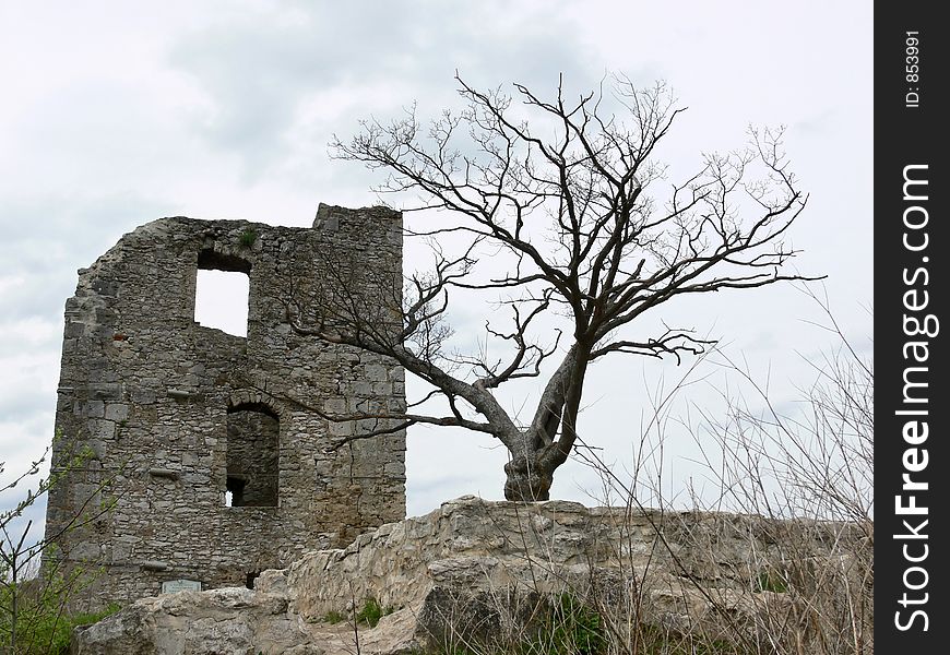 Ruin with a dead tree in front