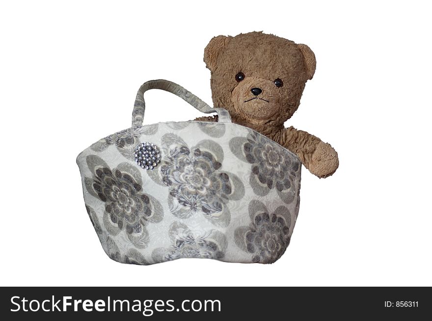 Teddy In The Bag