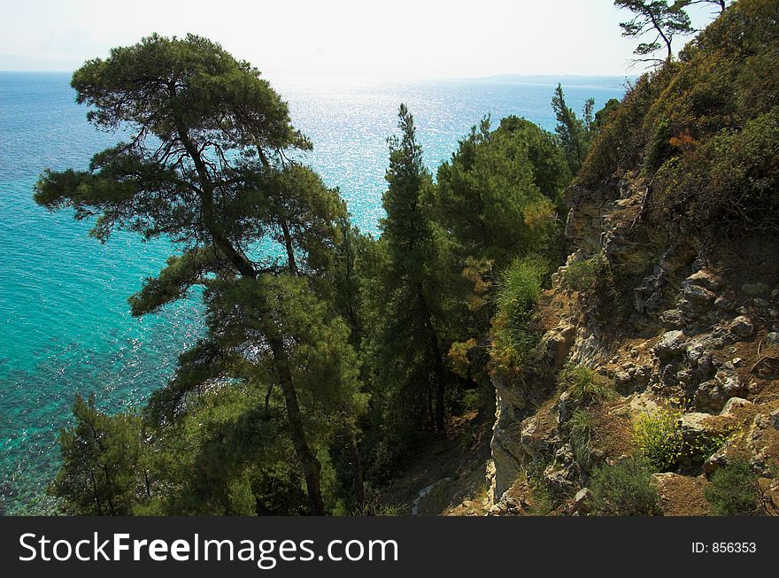 Rock, pines and sun,Halkidiki, Greece