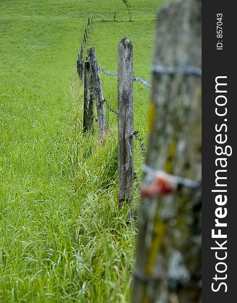 Old fence on grassland