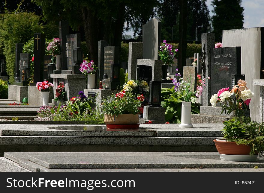 European Cemetary with flowers