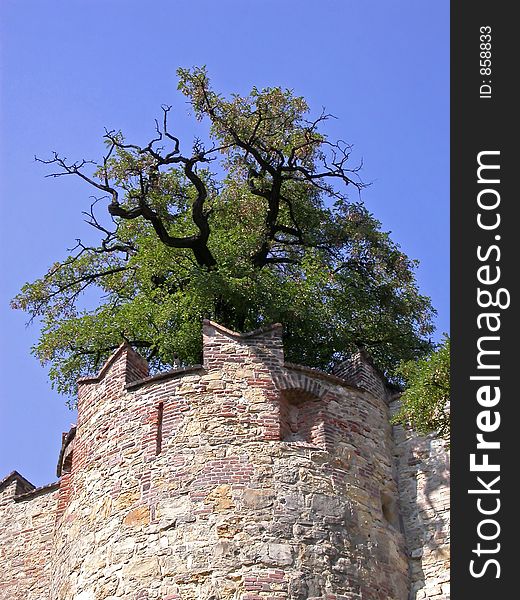 Watch tower with tree - on the walls of Prague Castle, Prague, Czech Republic.