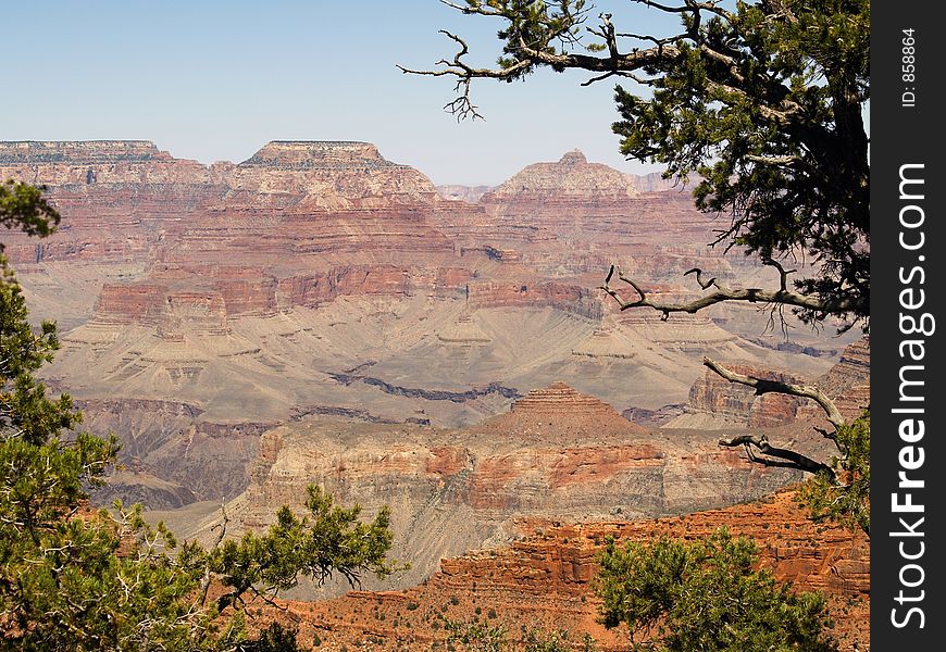 Looking into the Grand Canyon in late afternoon light. Looking into the Grand Canyon in late afternoon light