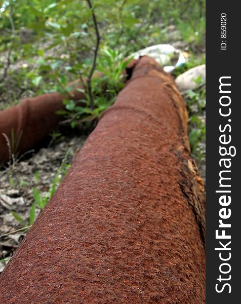 Rusted pipe in the forest. Rusted pipe in the forest.