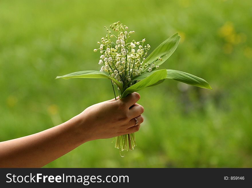 Female hand with a small bouquet on a green background. Female hand with a small bouquet on a green background