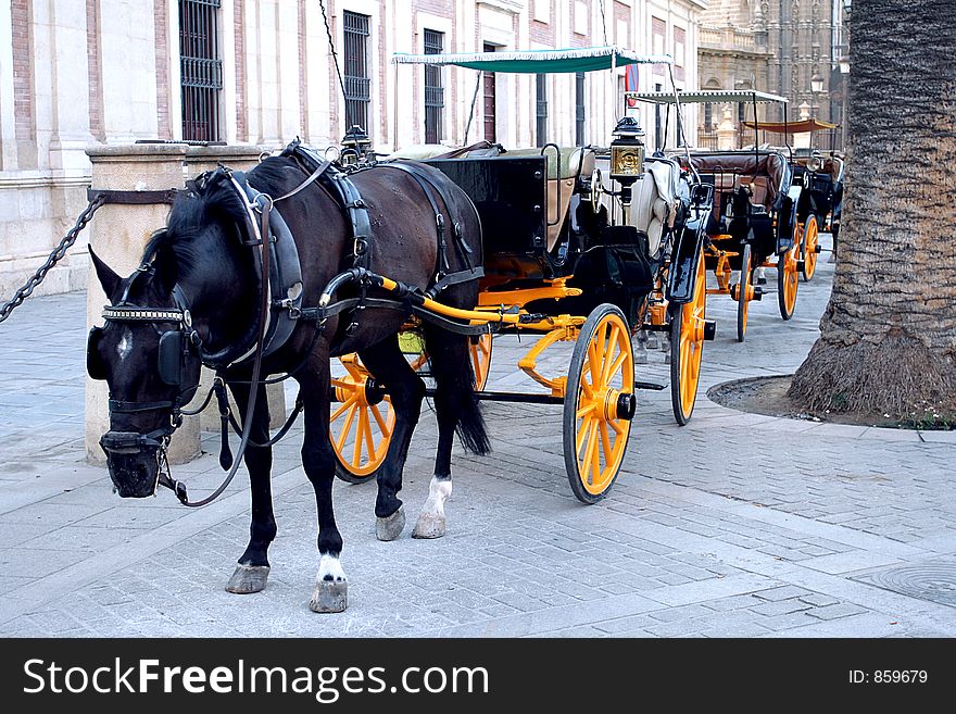 Spanish Horse Drawn Carriage Awaiting Tourists In Seville