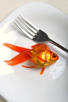Goldfish Stock Images Goldfish Stock Images