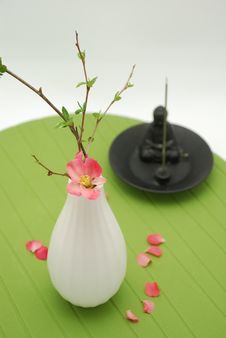 White Vase With Budding Blossom Over Green Royalty Free Stock Photo
